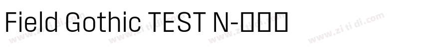 Field Gothic TEST N字体转换